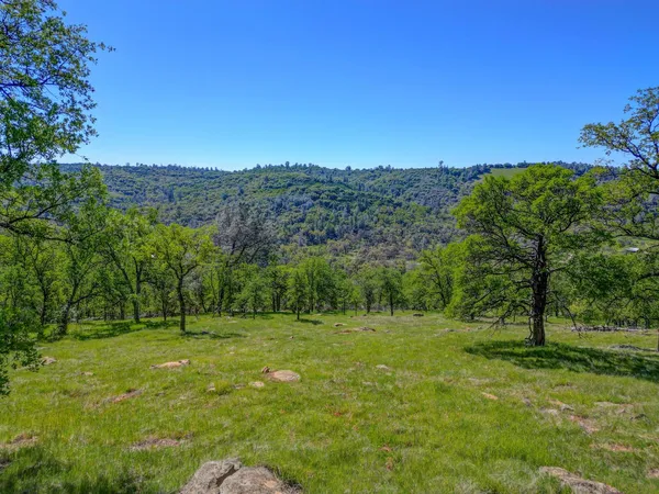 a view of a grassy field with trees in the background