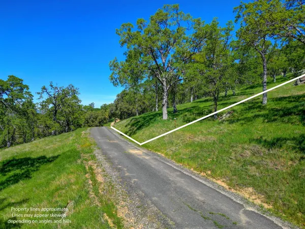 a backyard of a house with lots of green space and garden