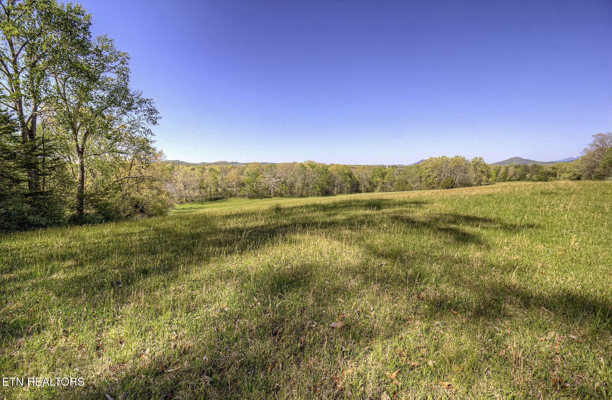 285 New Providence Road Tellico Plains, TN 37385 - Photo 31 of 45 Gallery Image 31
