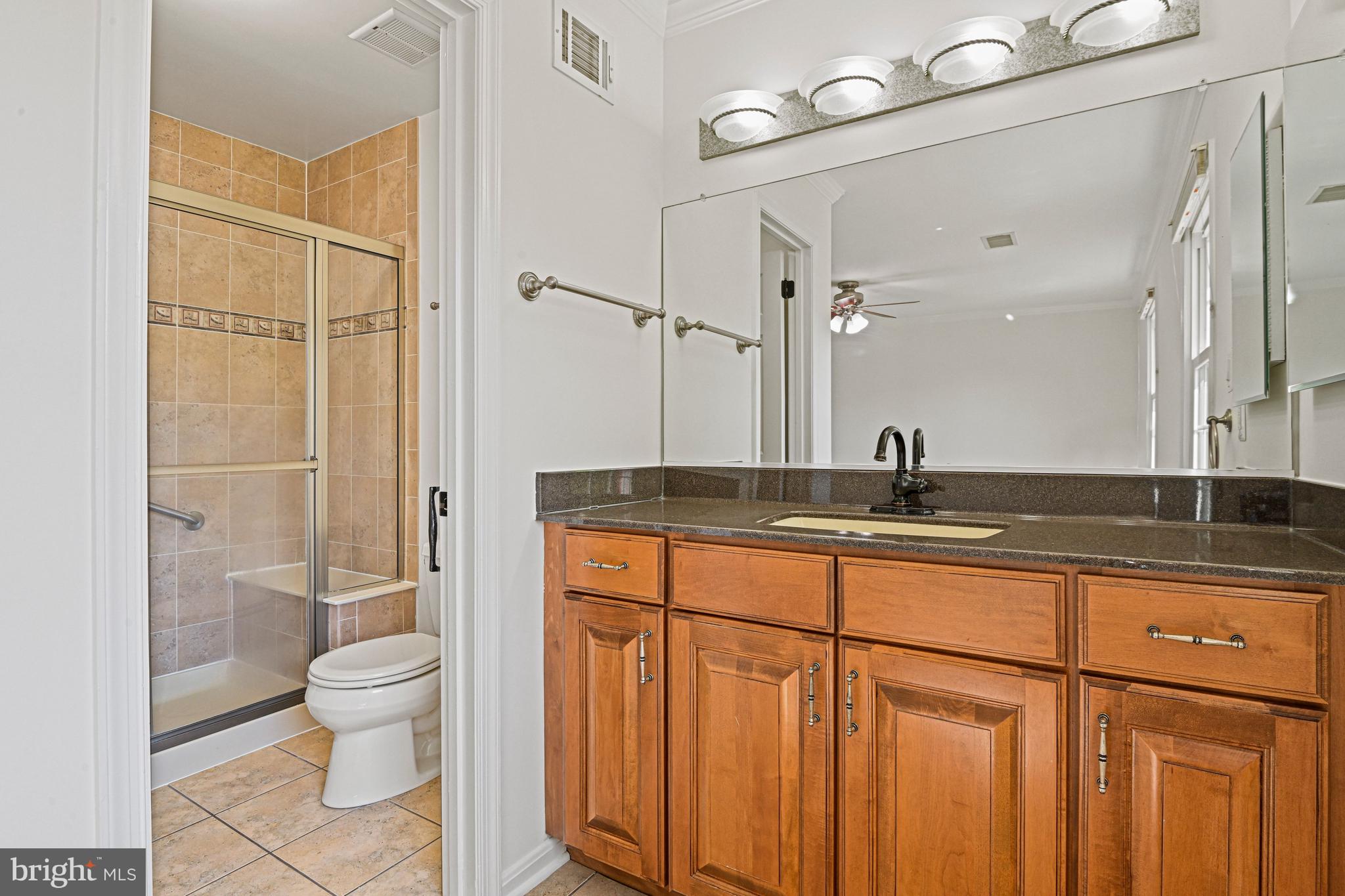 7422 Timberock Road Falls Church, VA 22043 - Photo 26 of 48 BIG Vanity, Great Lighting