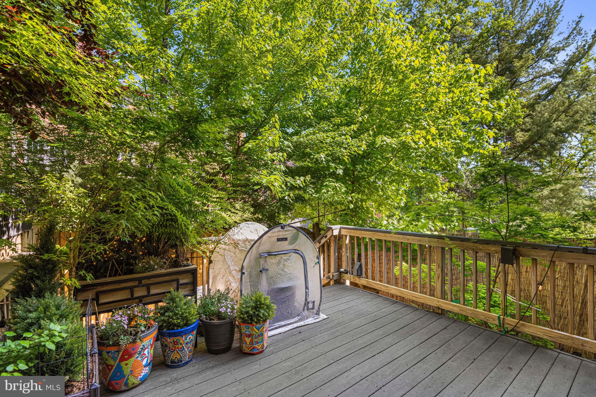 7422 Timberock Road Falls Church, VA 22043 - Photo 43 of 48 LARGE, Very Private Deck