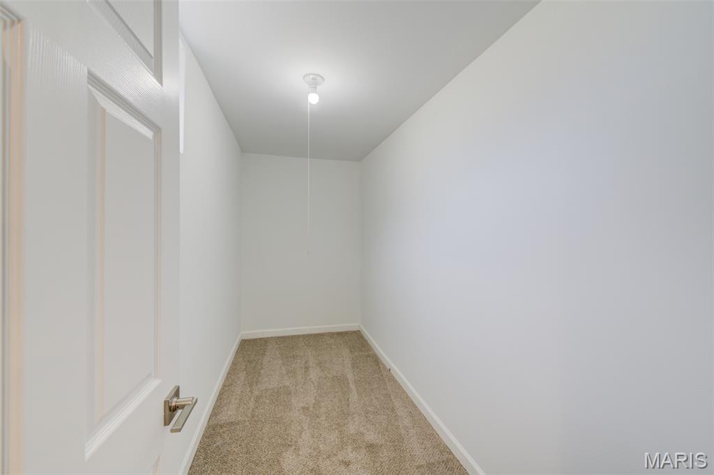 11001 St Raphael Lane St. Ann, MO 63074 - Photo 33 of 53
