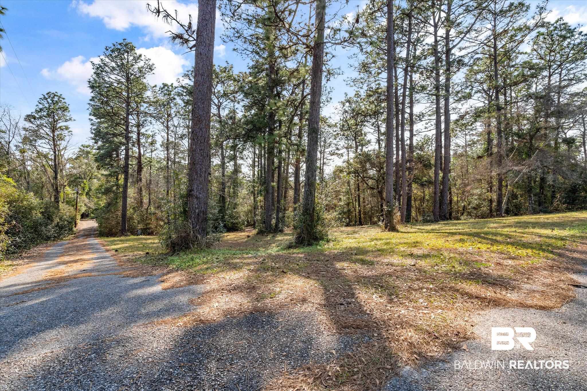 8451 Nugget Drive Mobile, AL 36695 - Photo 10 of 12 Driveway