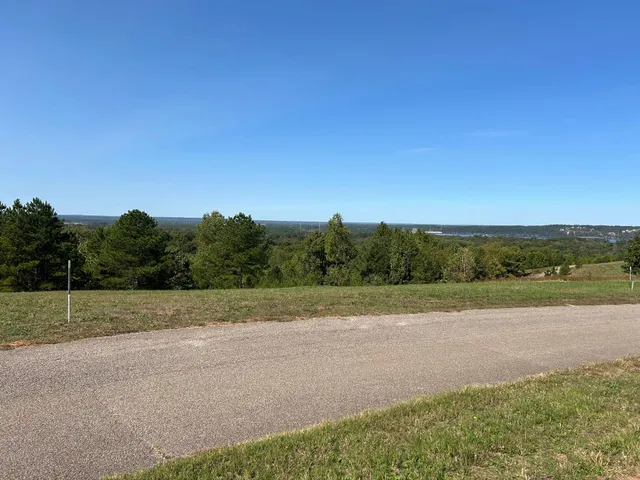 $49,500 | 375 Turkey Knob Lane, Counce, TN 38326