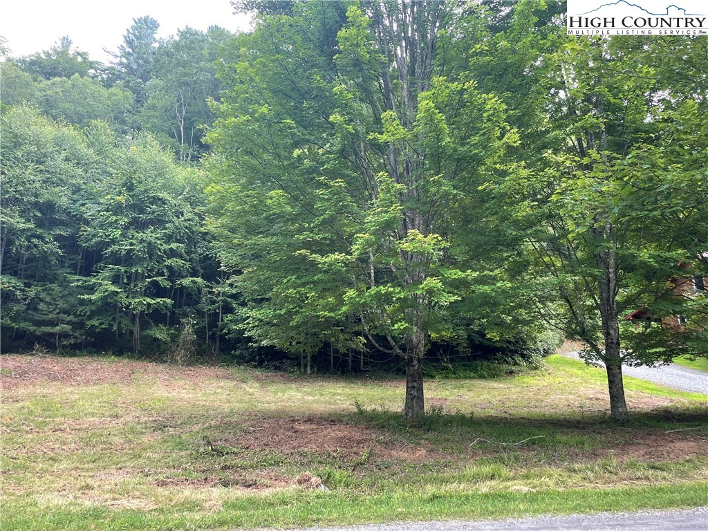 Forest Ridge Fleetwood, NC 28626 - Photo 12 of 14 a view of a lake view