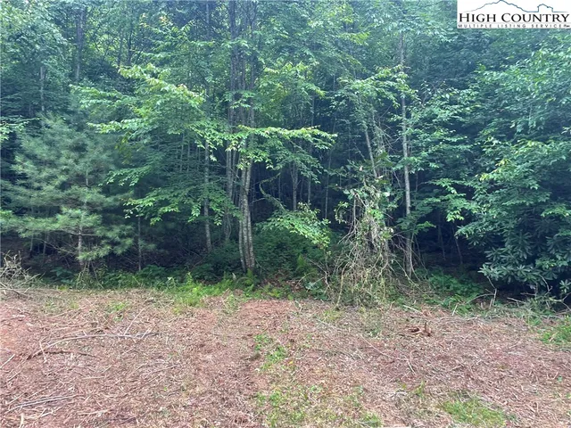 $49,950 | Forest Ridge, Fleetwood, NC 28626
