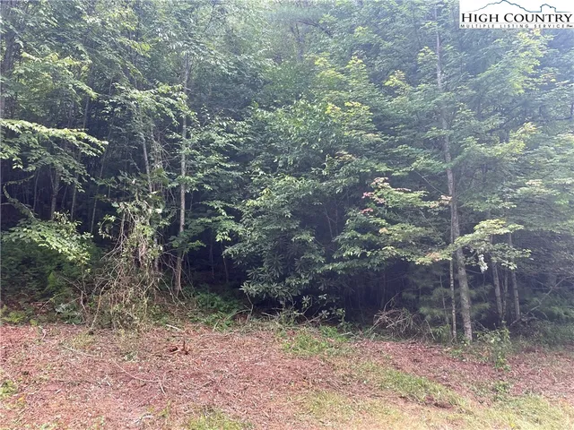 $49,950 | Forest Ridge, Fleetwood, NC 28626