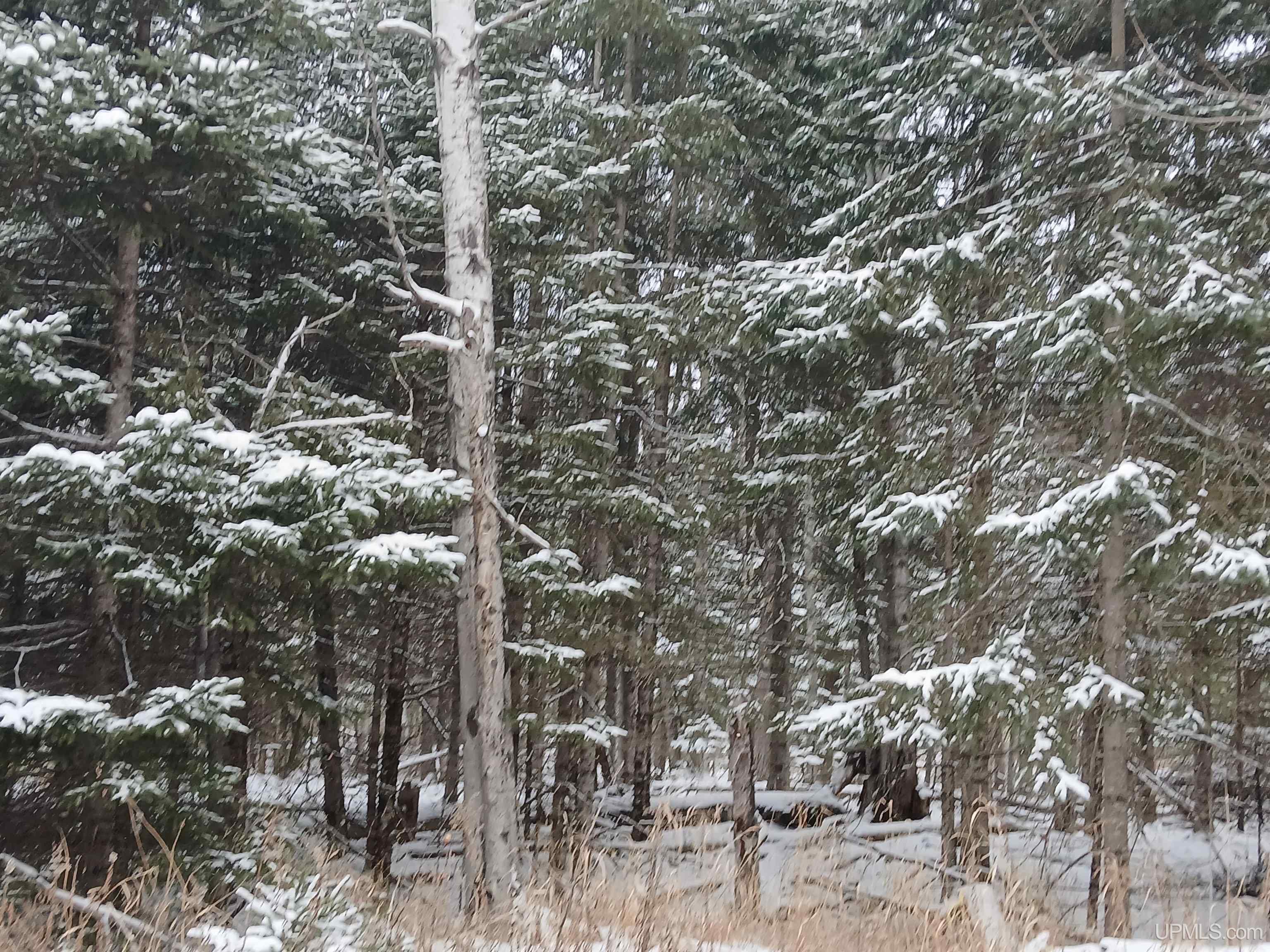 Tbd Tbd Webb Road Skanee, MI 49962 - Photo 7 of 8 Gallery Image 7