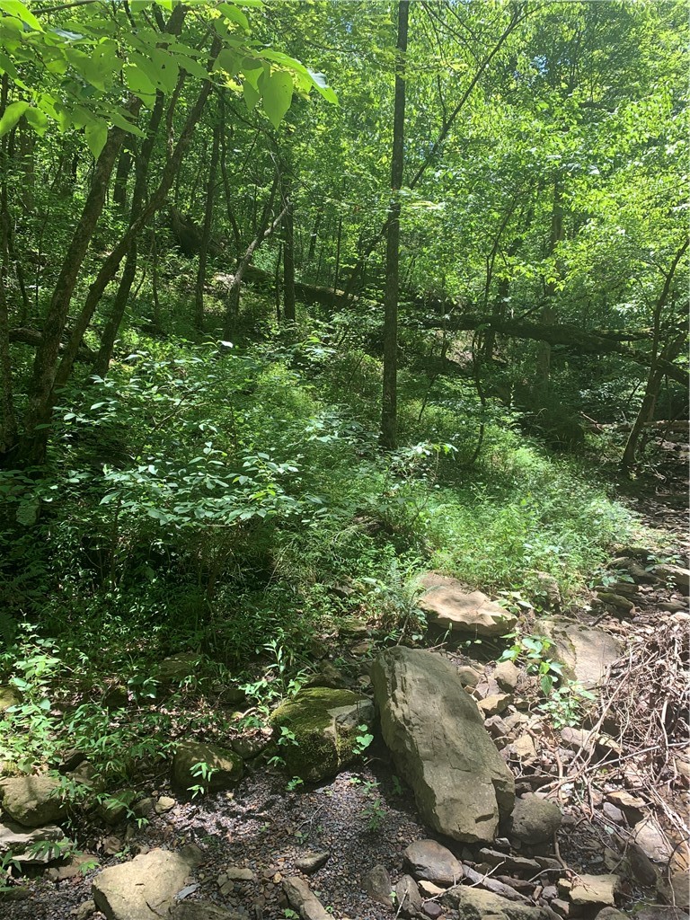 Tbd Pierson Road West Fork, AR 72774 - Photo 28 of 30 Gallery Image 28