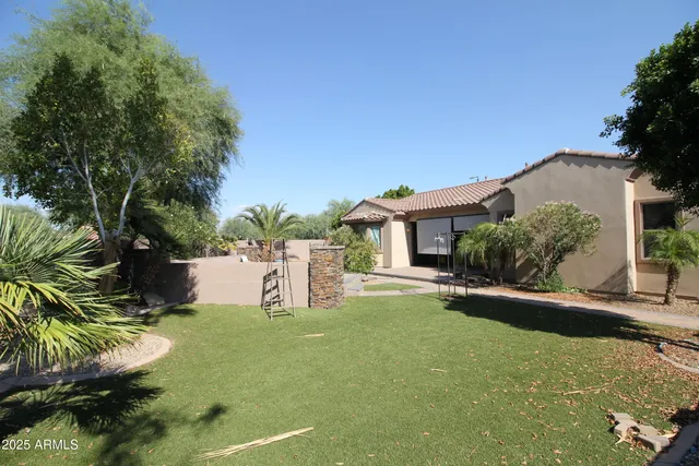 a view of a park with plants and trees