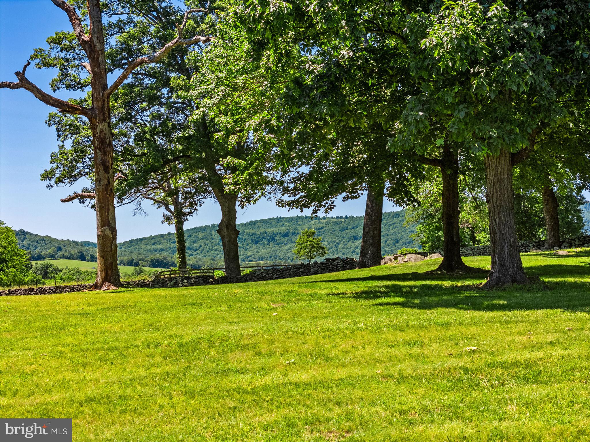 1310 Delaplane Grade Road Upperville, VA 20184 - Photo 3 of 94 Stunning views of the Blue Ridge Mountains