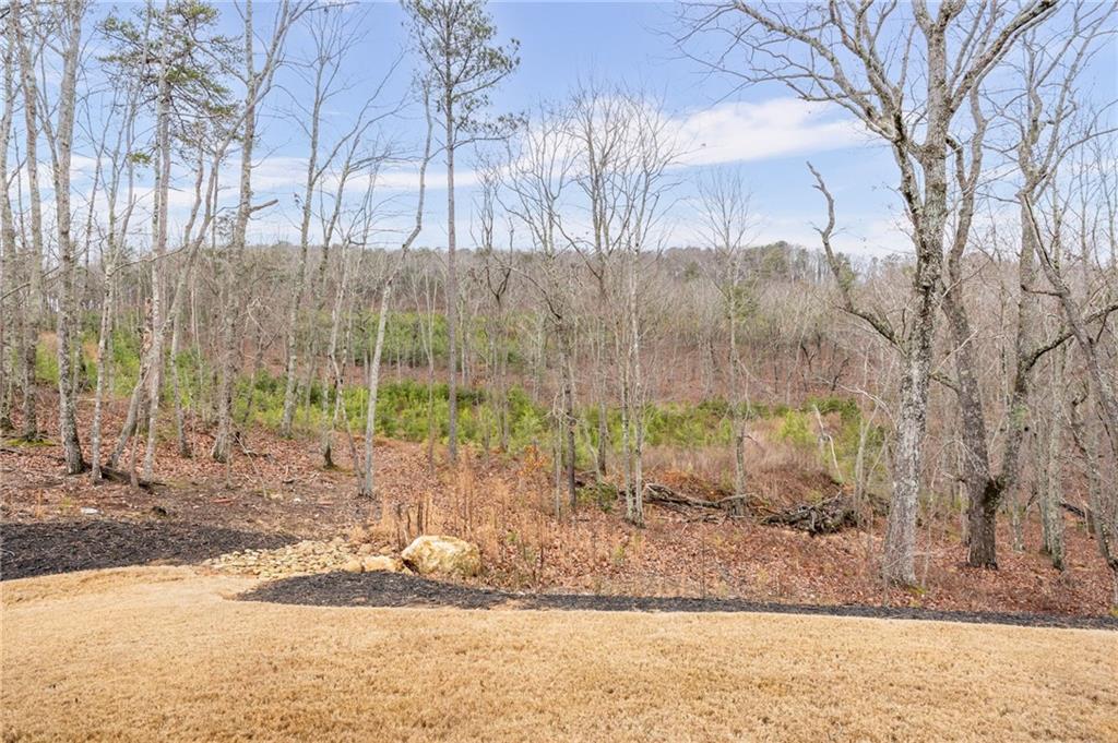 265 Fountain Oak Way Canton, GA 30114 - Photo 49 of 59 a view of a backyard of the house