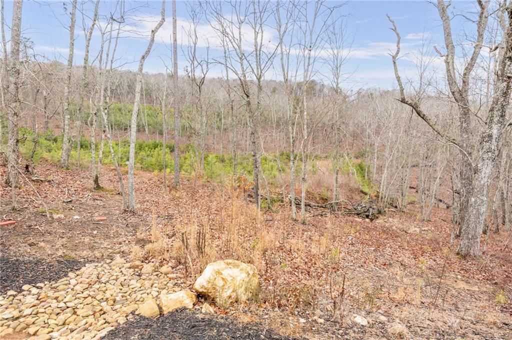 265 Fountain Oak Way Canton, GA 30114 - Photo 50 of 59 a view of outdoor space with wooden fence