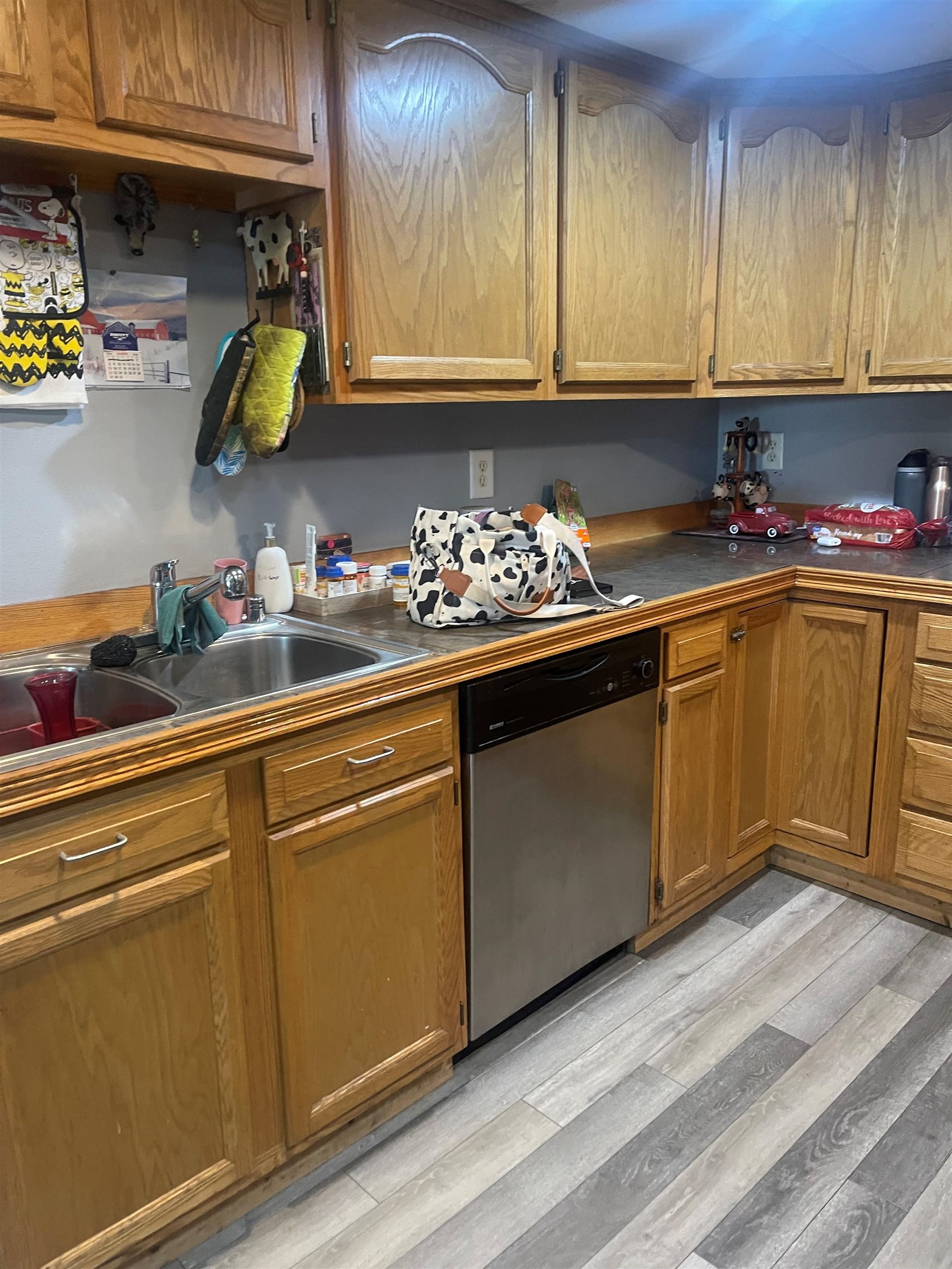 28856 County Road B Road Lone Rock, WI 53556 - Photo 5 of 15