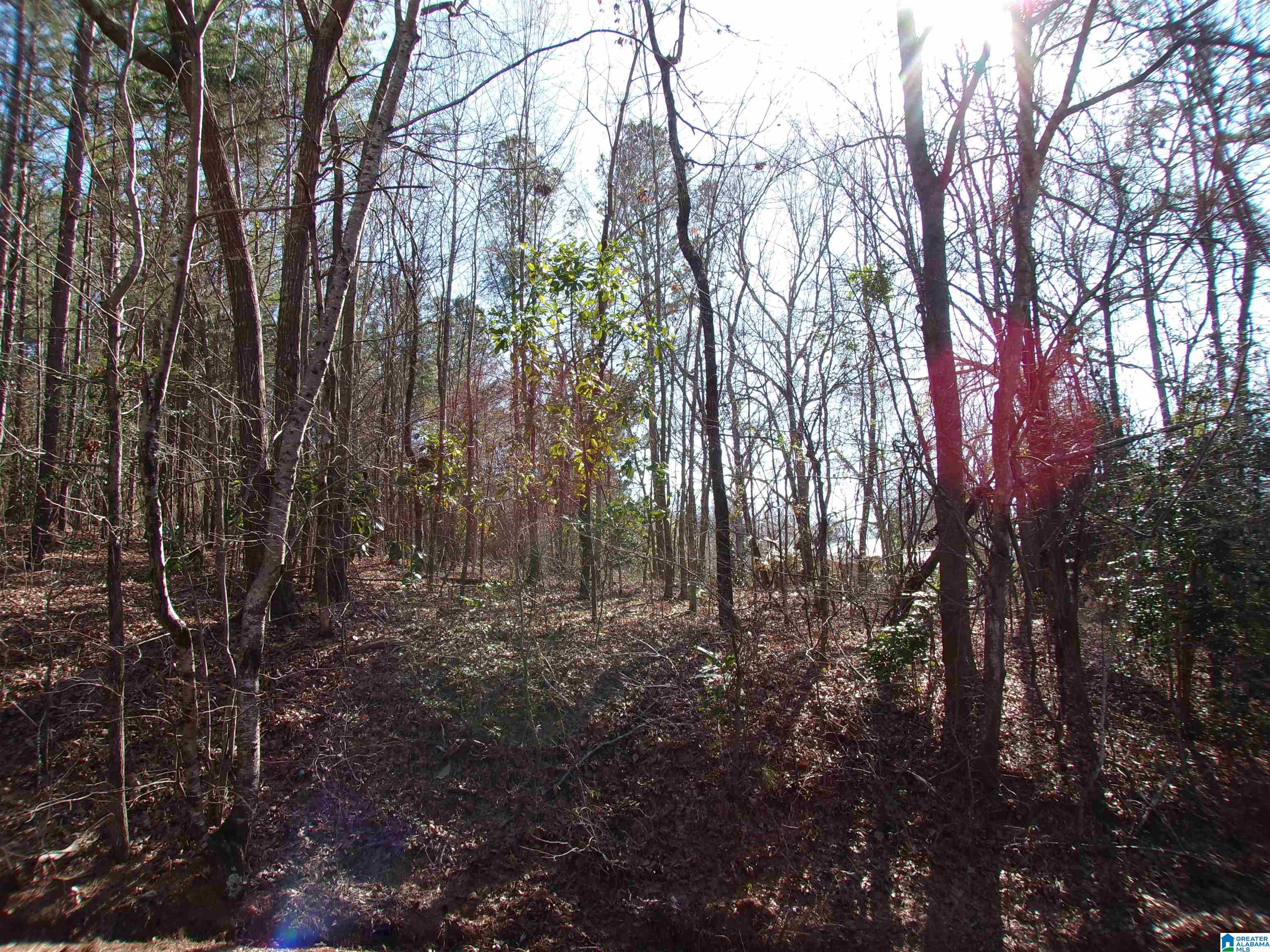 0 Arthur Drive, Unit 27 Weaver, AL 36277 - Photo 4 of 15