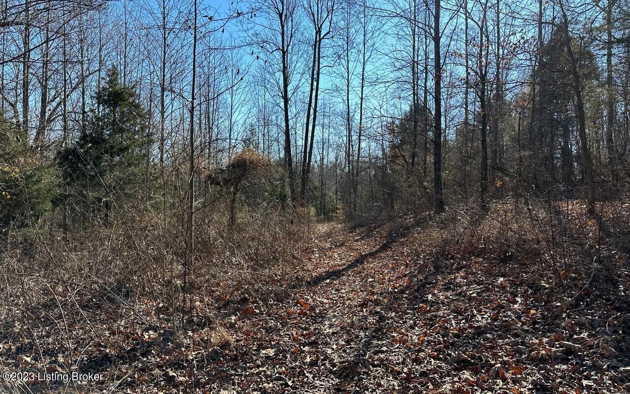 5984 B Sadler Road Leitchfield, KY 42754 - Photo 5 of 16 Sadler Rd 24 acfes4