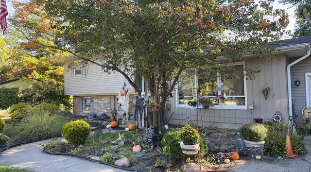 a backyard of a house with lots of green space
