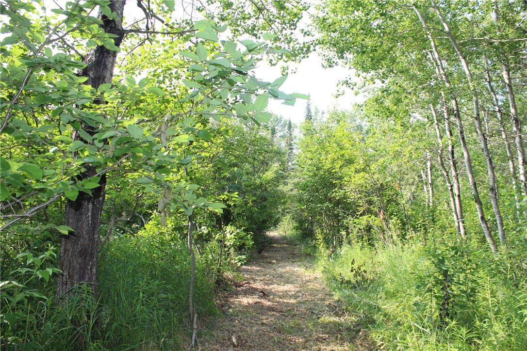 Lot 1 East Camp Amnicon Road Superior, WI 54880 - Photo 11 of 15