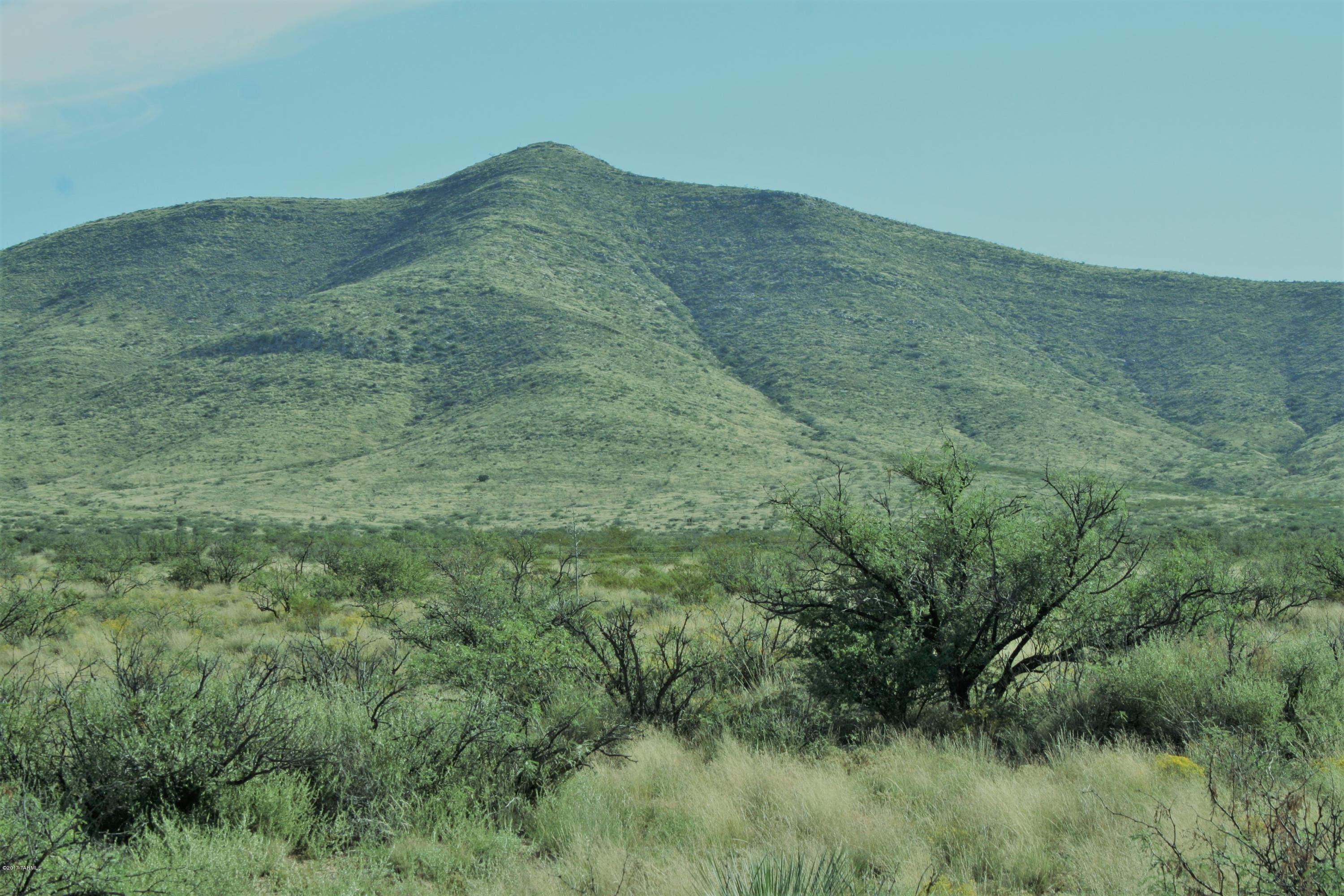 Tbd Victorio Road Dragoon, AZ 85609 - Photo 9 of 29