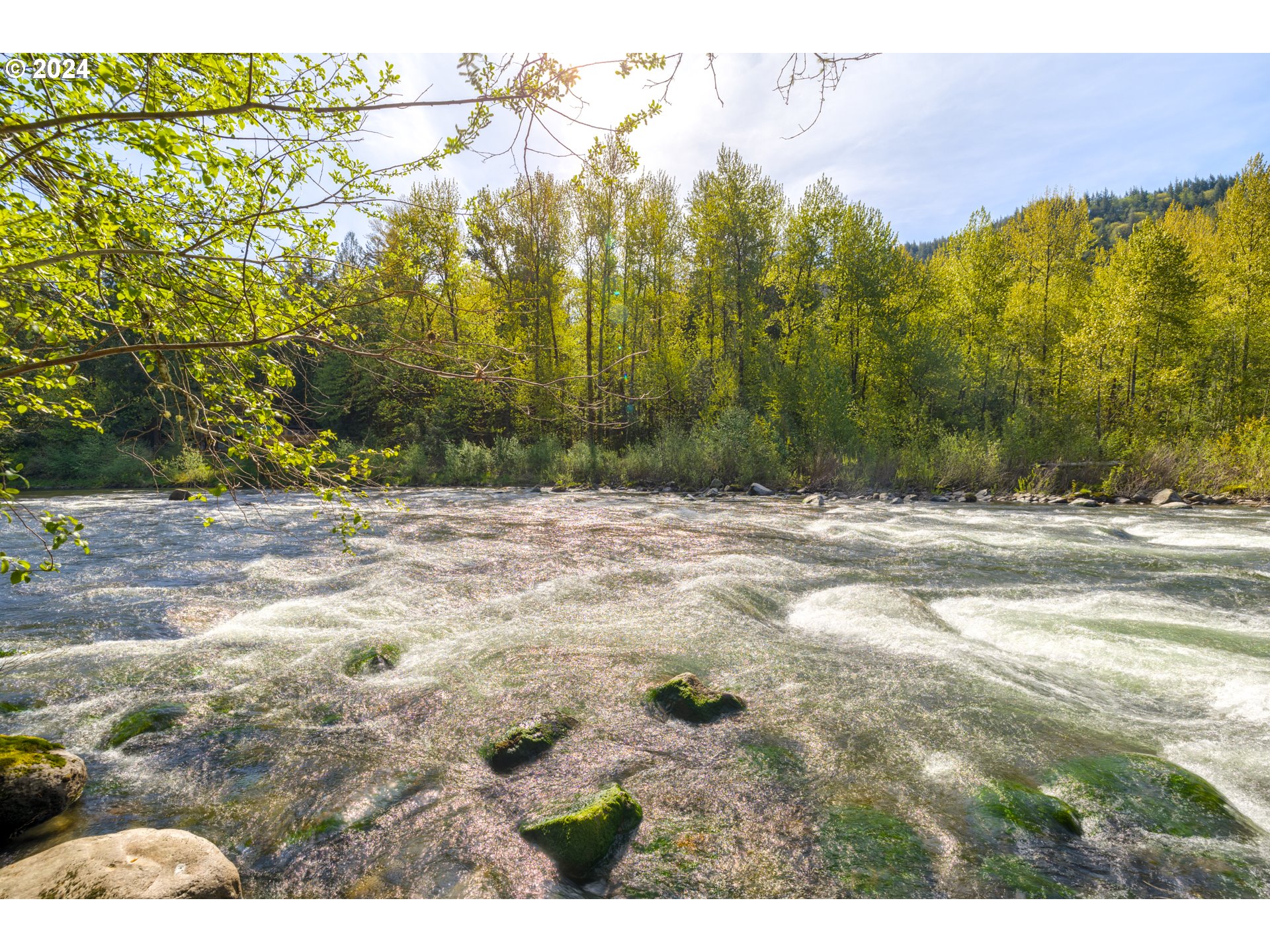 58200 East Marmot Road Sandy, OR 97055 - Photo 4 of 48 a view of dirt field with trees