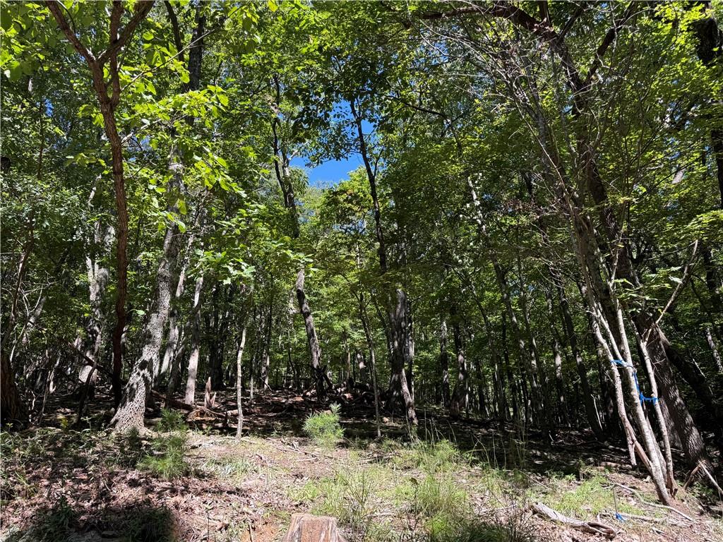0 Moss Patch Trail Jasper, GA 30143 - Photo 2 of 9 a backyard of a house with lots of green space