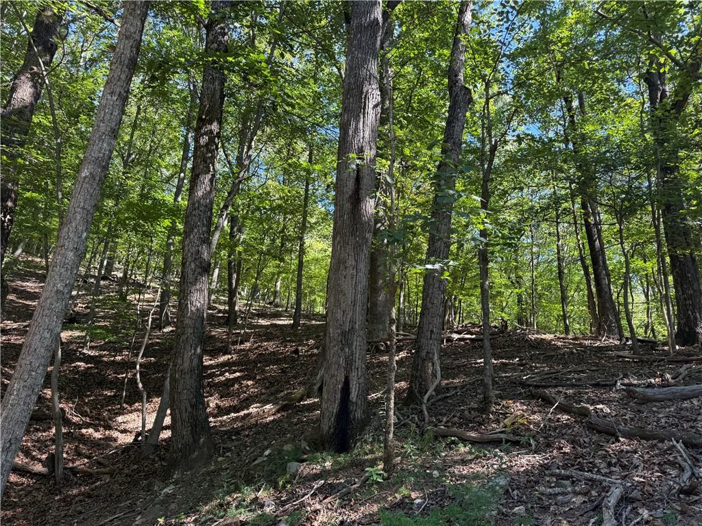 0 Moss Patch Trail Jasper, GA 30143 - Photo 3 of 9 a view of outdoor space and yard