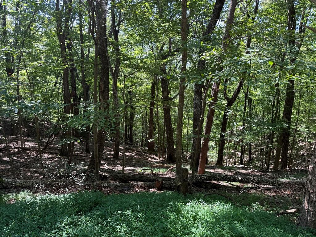 0 Moss Patch Trail Jasper, GA 30143 - Photo 4 of 9 a view of outdoor space and yard