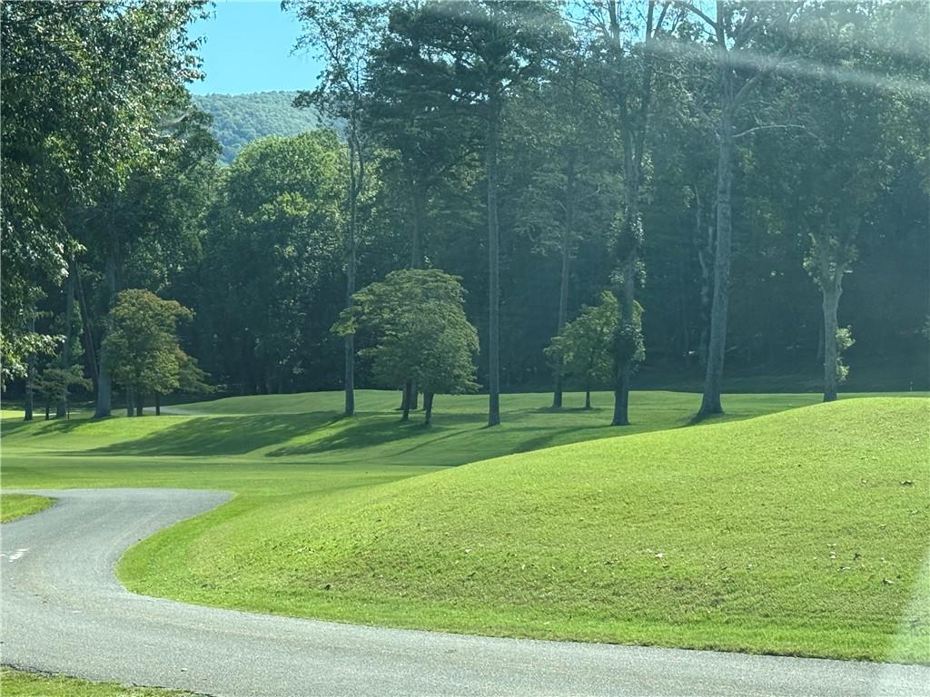 0 Moss Patch Trail Jasper, GA 30143 - Photo 6 of 9 a garden view with a fountain
