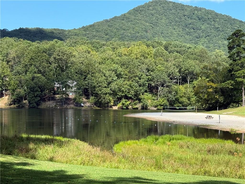 0 Moss Patch Trail Jasper, GA 30143 - Photo 8 of 9 a view of a lake in middle of the forest