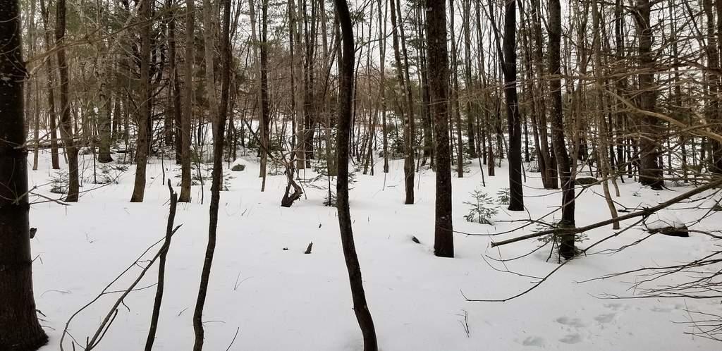 Tbd Campbell Road Harmony, ME 04942 - Photo 3 of 14 Lot