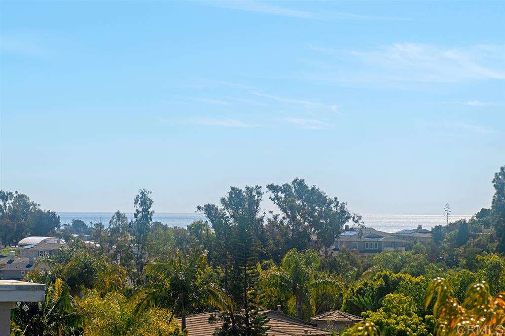 1111 Alexandra Lane Encinitas, CA 92024 - Photo 14 of 25 Gallery Image 14