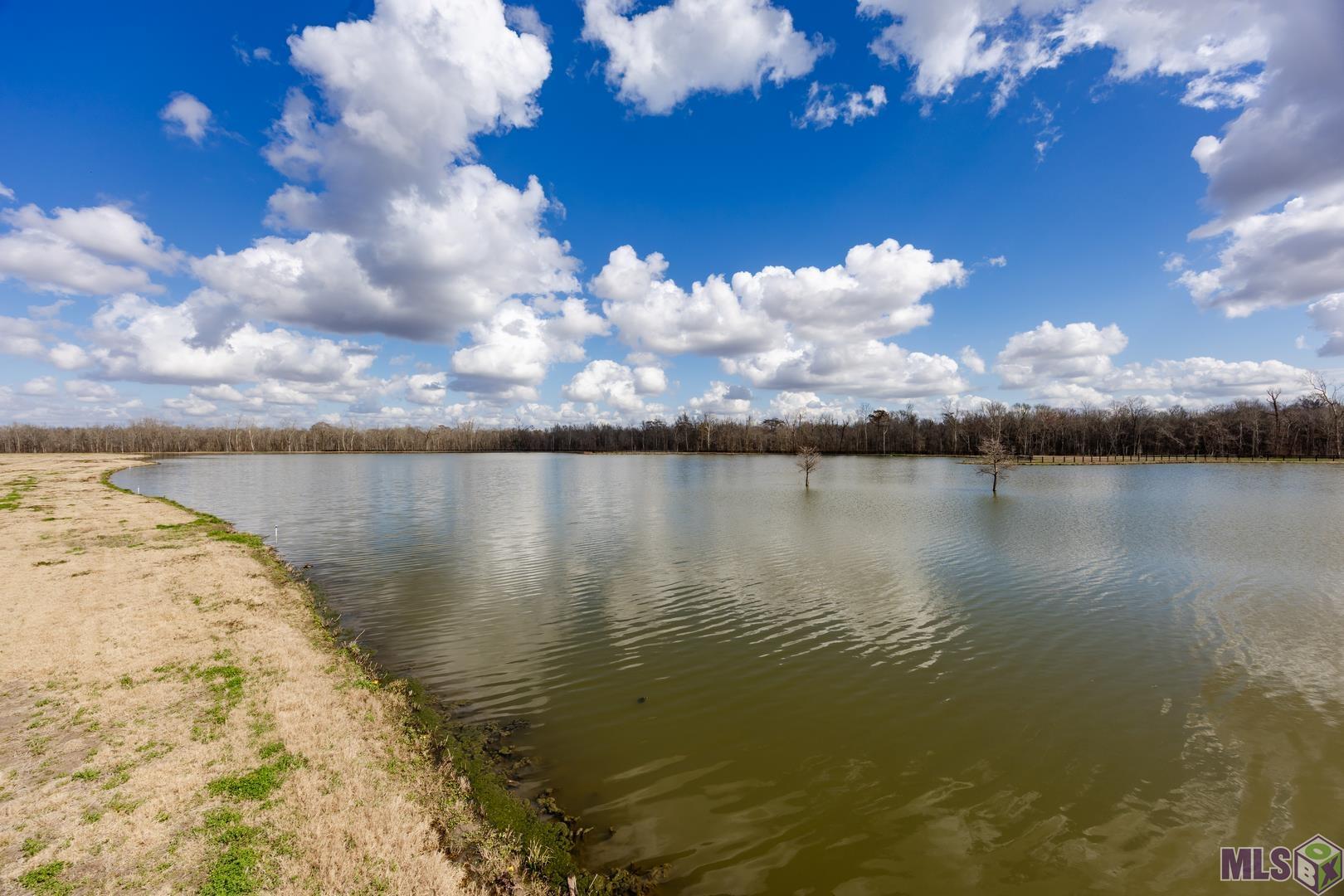 6019 Mill Town Road Brusly, LA 70719 - Photo 7 of 12