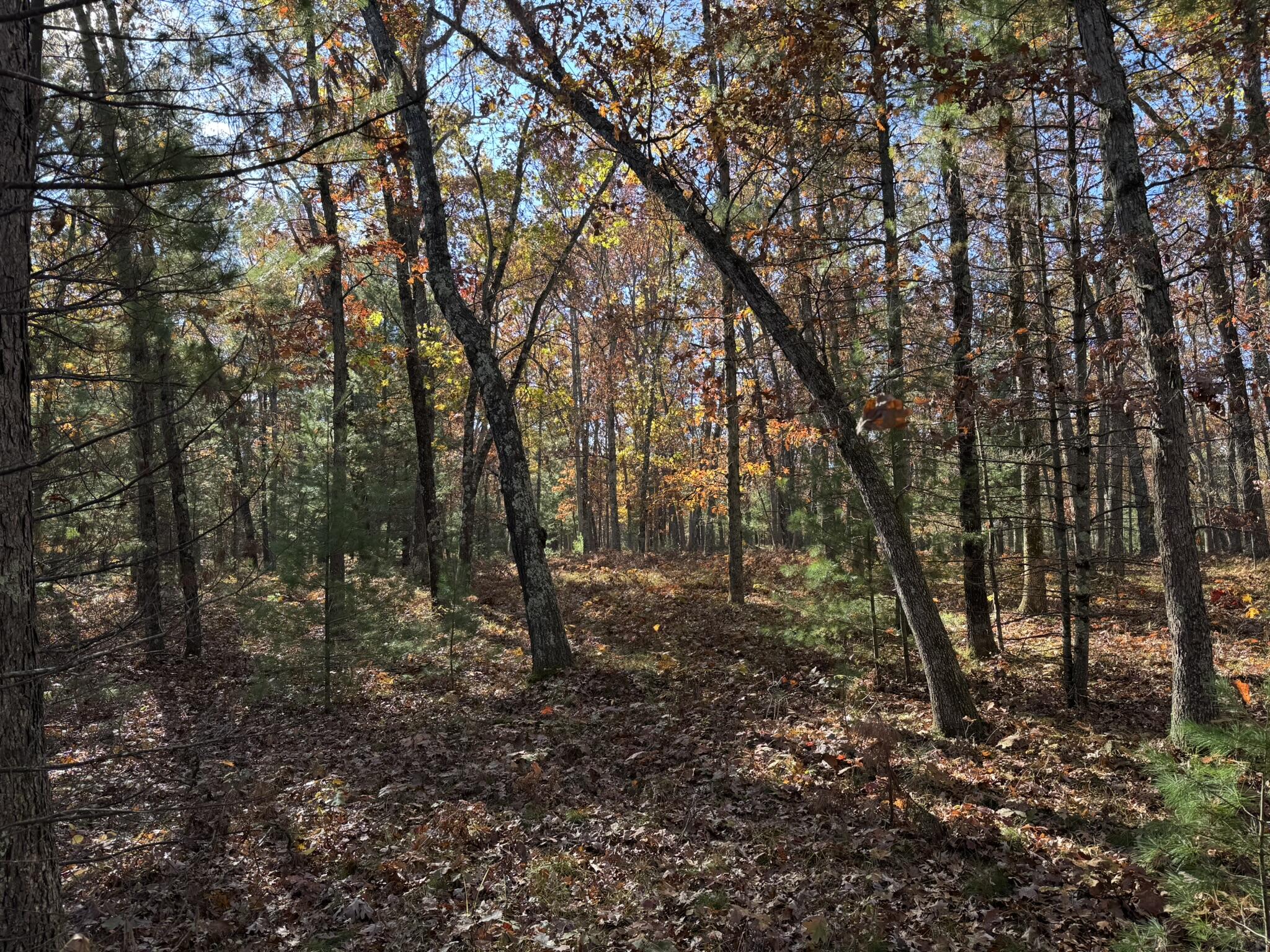5 County Line Road Manistee, MI 49660 - Photo 3 of 6 IMG_1381