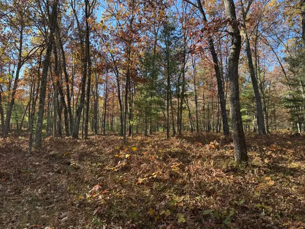 $32,900 | 5 County Line Road, Manistee, MI 49660