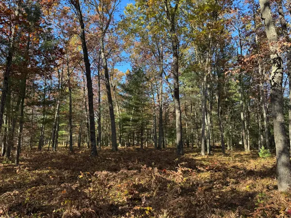 $32,900 | 5 County Line Road, Manistee, MI 49660