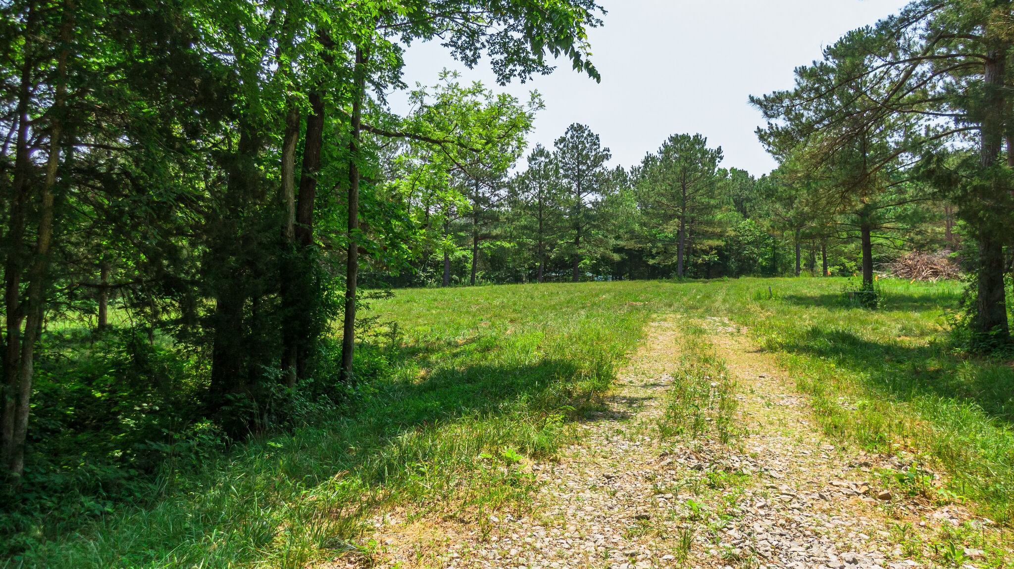 7477 Liberty Road Fairview, TN 37062 - Photo 1 of 16 a view of an outdoor space and a yard