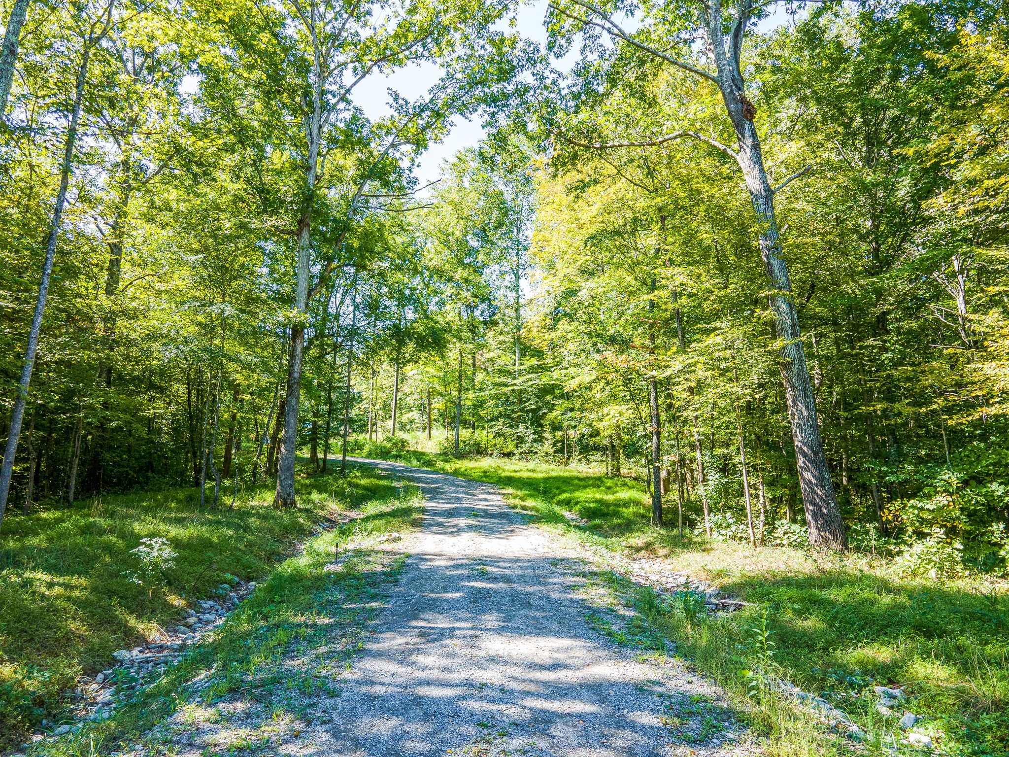7477 Liberty Road Fairview, TN 37062 - Photo 3 of 16 a green field with lots of trees in it