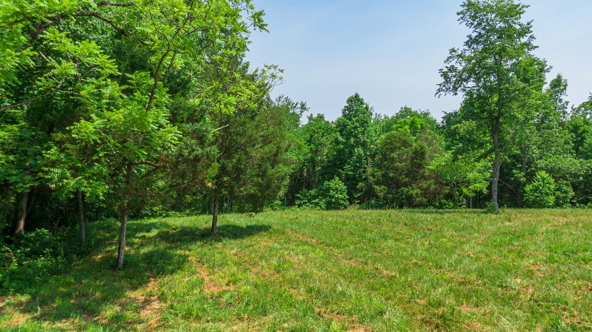 7477 Liberty Road Fairview, TN 37062 - Photo 5 of 16 a view of an outdoor space and a yard