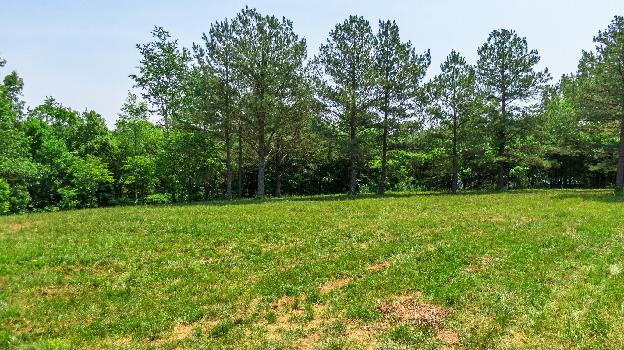 7477 Liberty Road Fairview, TN 37062 - Photo 6 of 16 a view of outdoor space with deck and yard