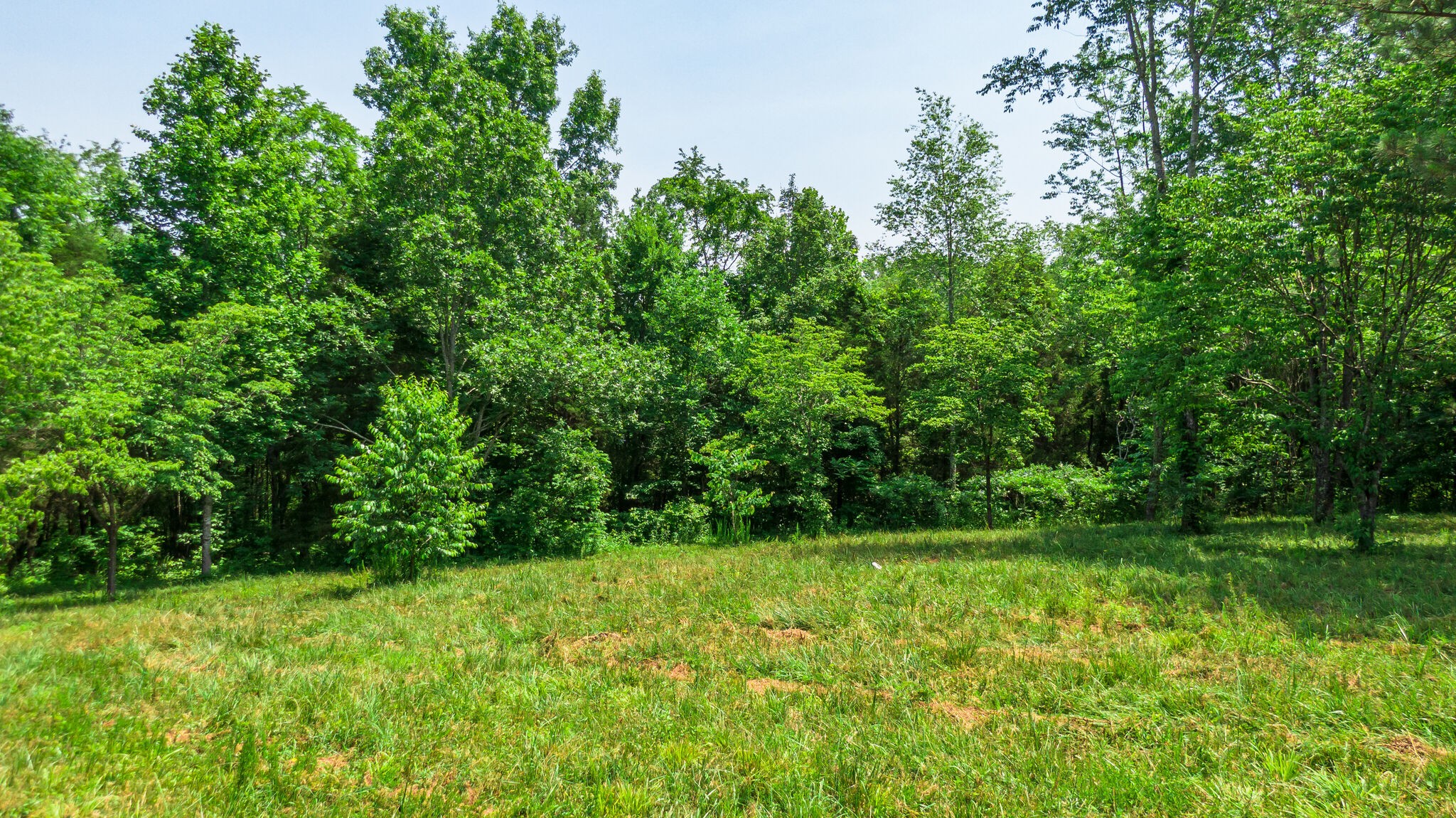 7477 Liberty Road Fairview, TN 37062 - Photo 10 of 16 a view of lush green field