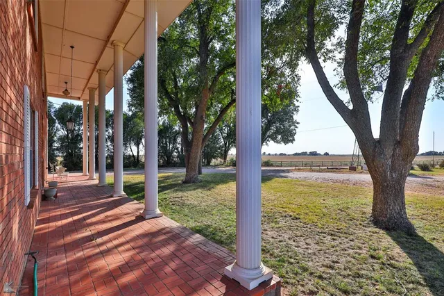 a view of a garden with a tree