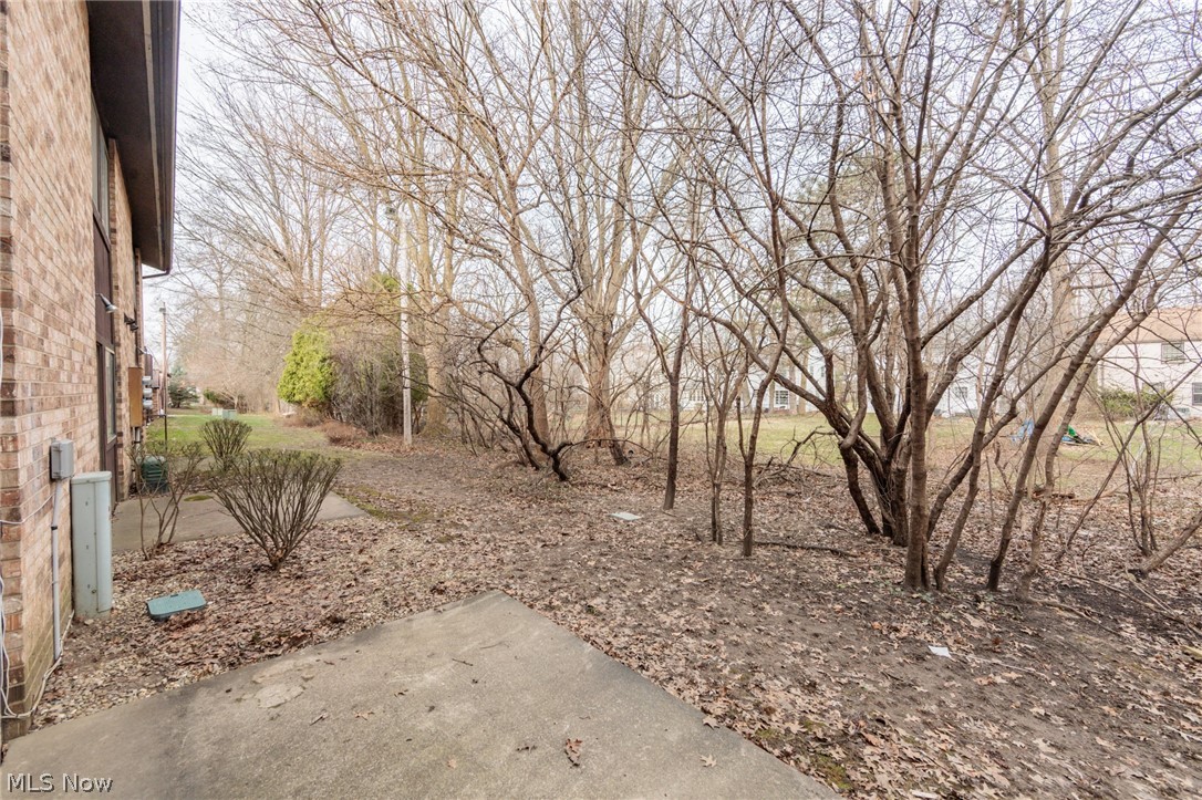 3265 Mayfield Road, Unit 29 Cleveland, OH 44118 - Photo 39 of 44