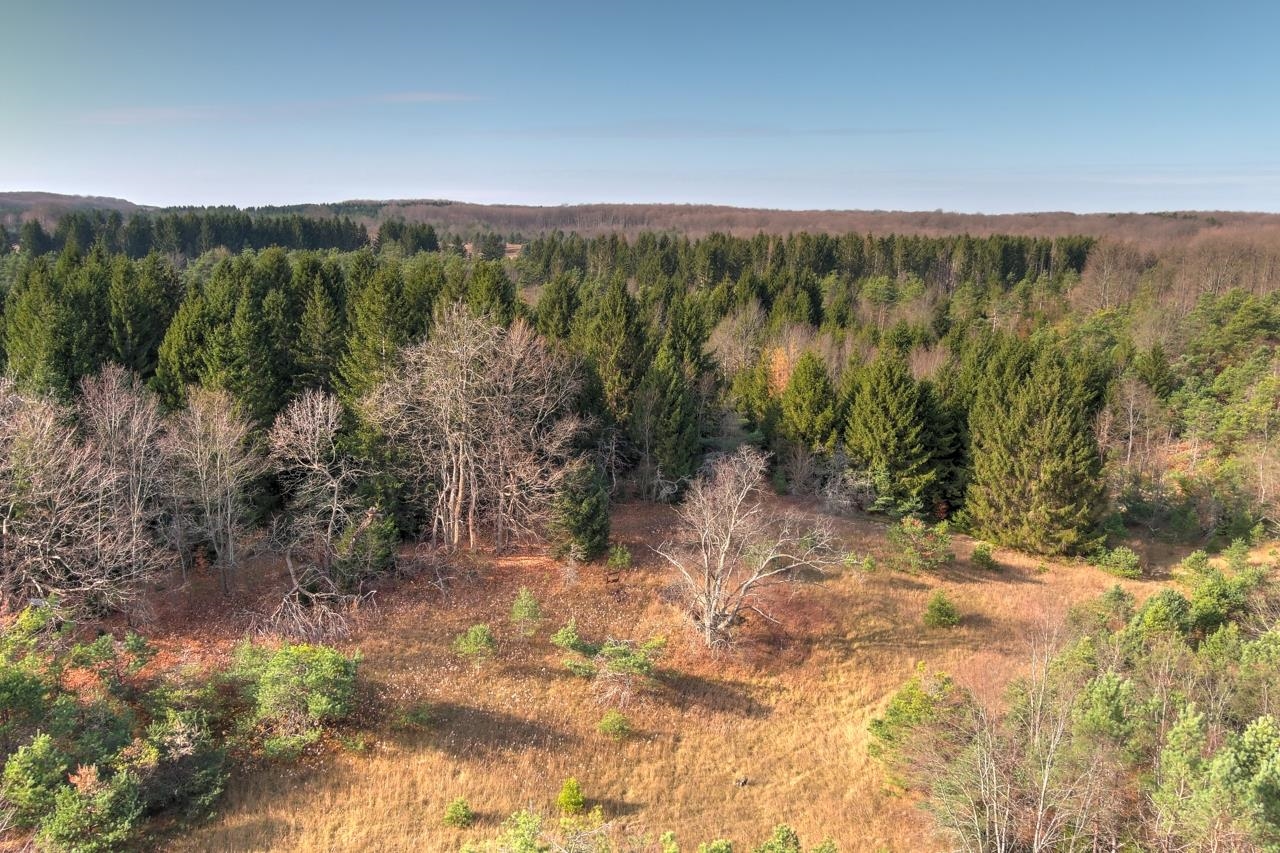 0 Harlan Road Traverse City, MI 49686 - Photo 3 of 21 Gallery Image 3