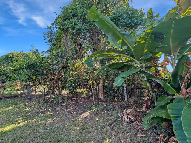 a backyard of a house with lots of trees