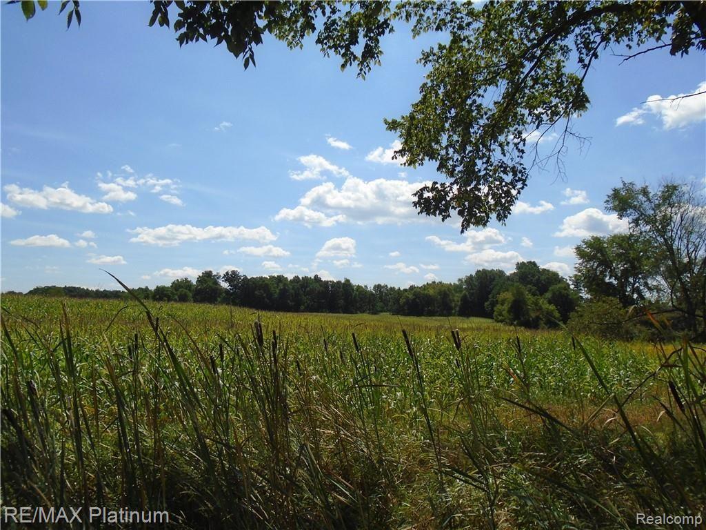 D 2 Germany Road Fenton, MI 48430 - Photo 18 of 27