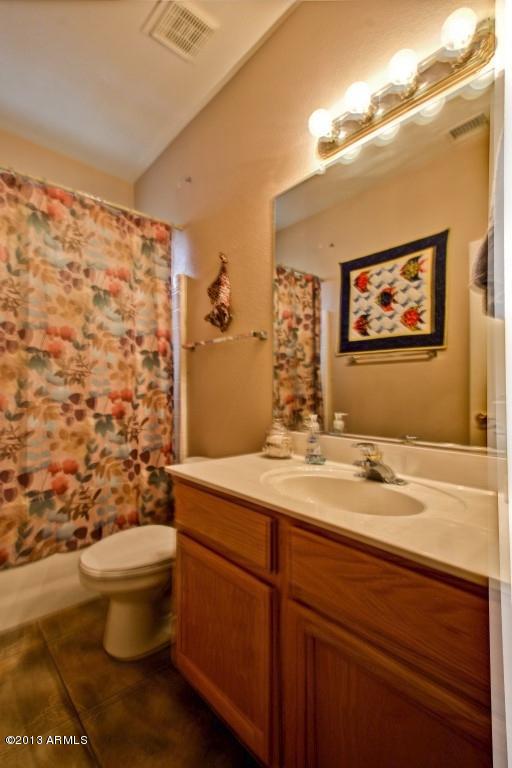 4366 East Walnut Road Gilbert, AZ 85298 - Photo 11 of 24 guest bath