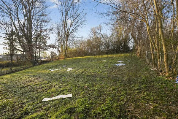 a view of yard with green space