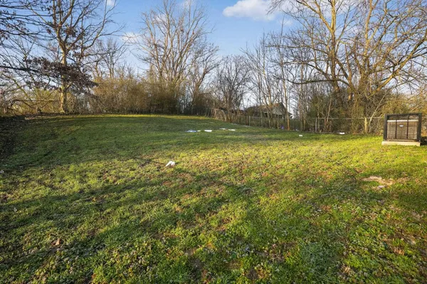 a view of a field with trees