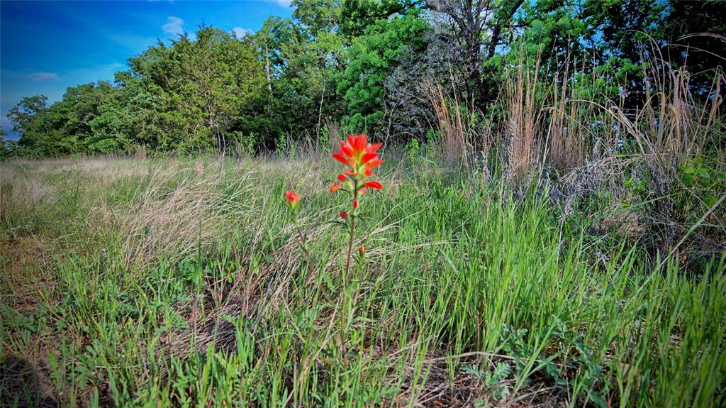 Tbd Tbd Lake Valley Road Sunset, TX 76270 - Photo 13 of 16