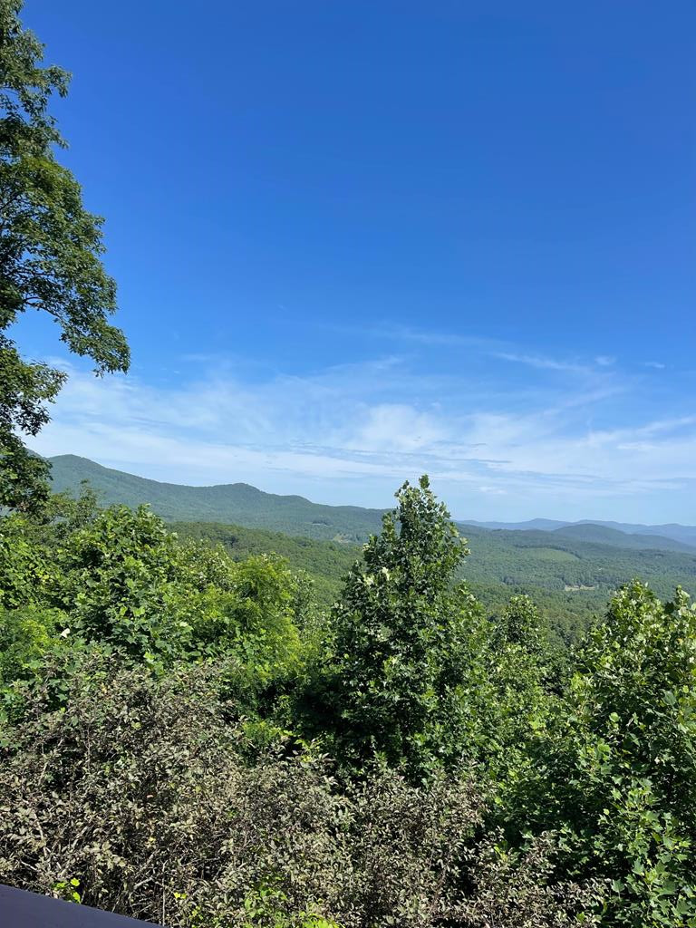 1013 Buck Ridge Drive Murphy, NC 28906 - Photo 41 of 42
